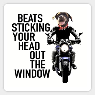 Dog On Motorcycle Sticker